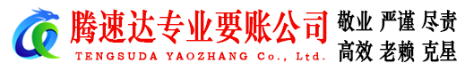 岱岳腾速达收账公司
